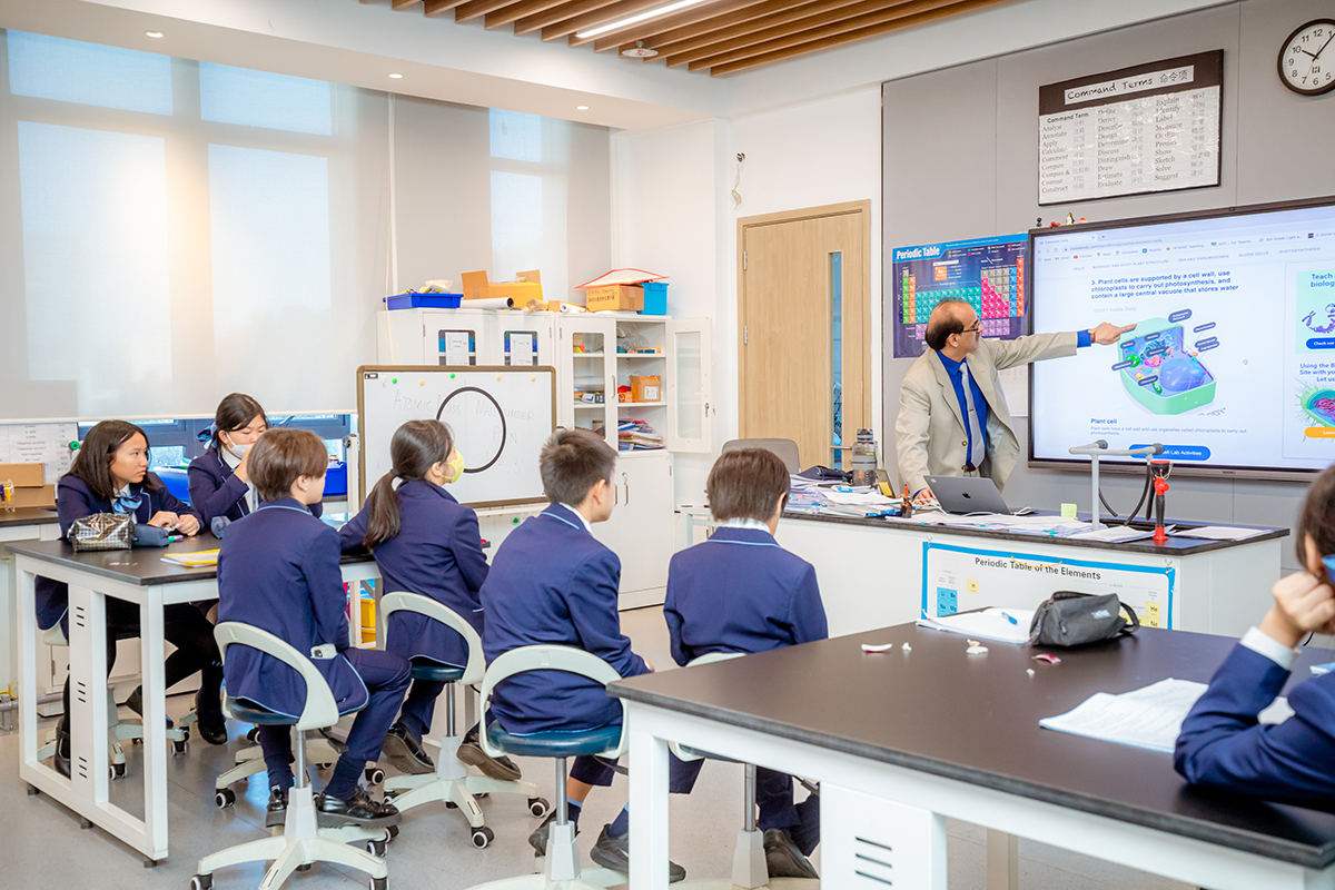 中学教学区域