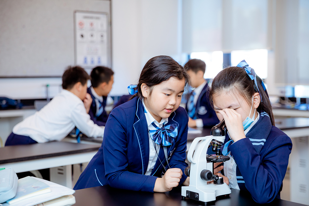 中学教学区域